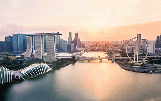 上海新加坡公司注册的流程和优势