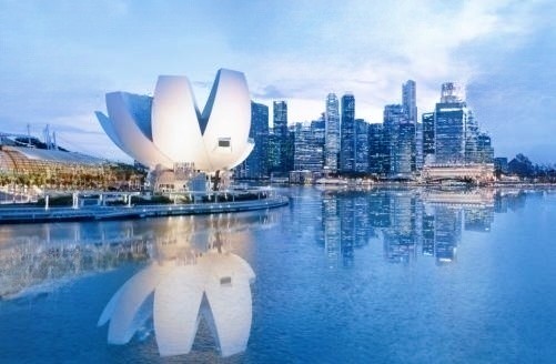 新加坡公司国内注册的必要条件和流程
